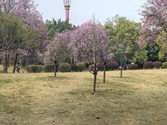 -雀儿山公园