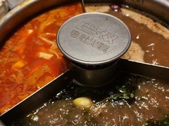 -巴奴毛肚火锅(大剧院店)
