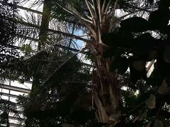 -龙达温泉生态城