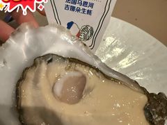-普朗姆生蚝吧(原建国路店)