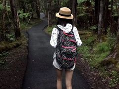 -夏威夷火山国家公园