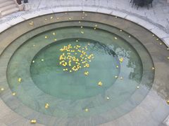 -苏州湾王焰温泉度假酒店