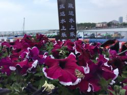 -星海水上乐园(星海广场圣亚店)