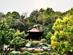 -吴淞炮台湾湿地森林公园烧烤区