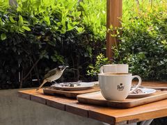 -Peet's Coffee皮爷咖啡(大学路店)