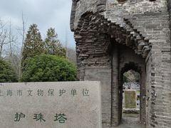 -上海佘山国家森林公园天马山园