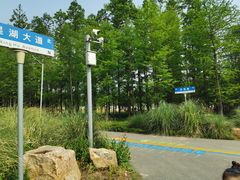 -上海长兴岛郊野公园