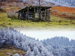-武陵山森林公园