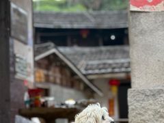 -初溪土楼群