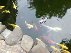 -海南文笔峰盘古文化旅游区