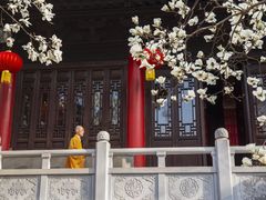 -灵谷景区