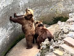 -赭山公园