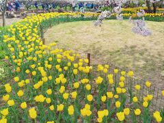 -苏州上方山国家森林公园