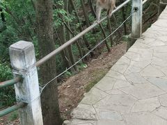 -黔灵山公园