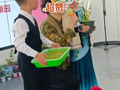 -徐汇区陇龙幼稚园