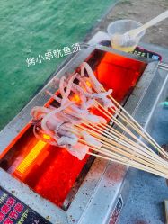 -上美四季动物农场