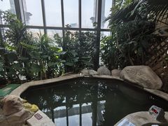 -郑州银基黄帝宫御温泉