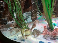 -沈阳海洋探索中心