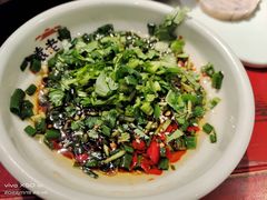 -袁老四重庆老火锅(桐梓坡店)