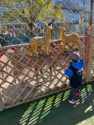 -萌宠亲子动物乐园(槐房万达店)