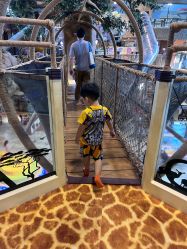 -卡通尼·Safari非洲探索乐园·生日会(金桥国际商业广场店)