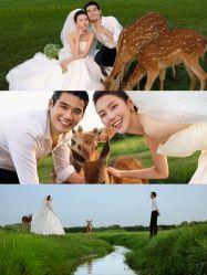 点击看大图 -苏雅影像蒙古婚纱摄影工作室