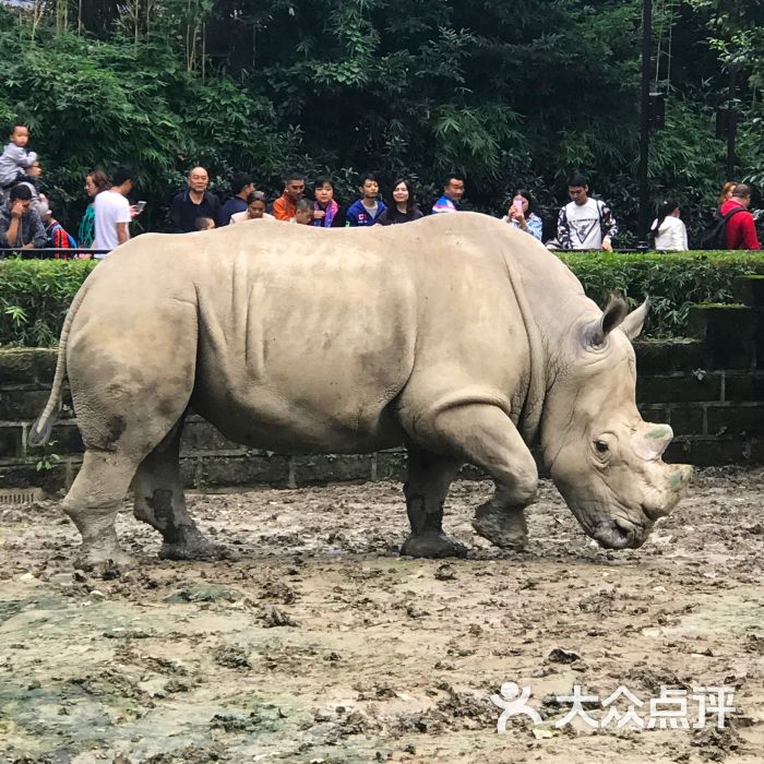 成都動物園圖片 - 第11張