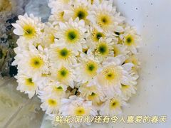 -溪岸路花鸟市场