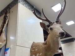 -乔家满族八大碗(中兴路店)