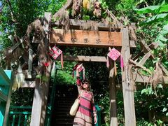 -西双版纳原始森林公园