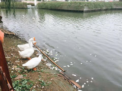 -浙江大学(紫金港校区)