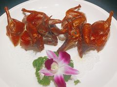 -青螺餐厅·家宴(松雅湖店)