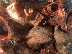 -和源祥·日照菜扛把子(万平口一店)