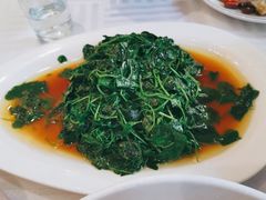 -农家大院