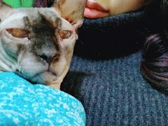 -李小姐の猫咖啡馆(五角场店)