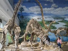 -自贡恐龙博物馆