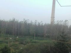 -建华生态湿地百荷园