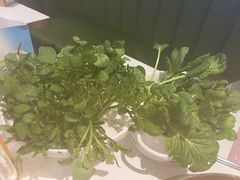 -烹然四季椰子鸡火锅(姚家园万象汇店)