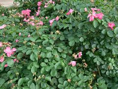 -白塘生态植物园