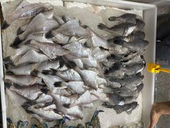 -渔人湾码头海鲜市场负二楼