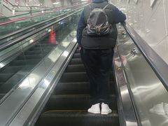 -红土地(地铁站)