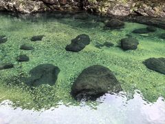 -石台牯牛降景区