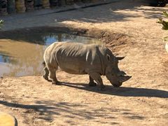 -西霞口神雕山野生动物世界
