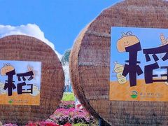 -嘉北郊野公园