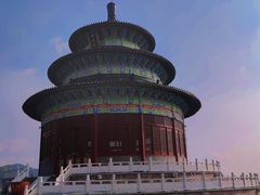 -黄贤森林公园
