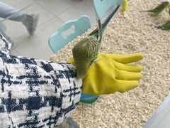 -怪兽屋·羊驼·猫咖·狗咖(俊华广场店)