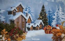 -青岛sunny喜铺婚礼策划(名汇国际店)