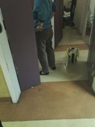 -中国福利会国际和平妇幼保健院(徐汇院区)