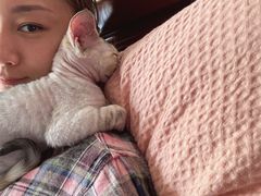 -山宅一喵德文卷毛猫舍