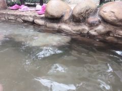 -深业半汤御泉庄温泉